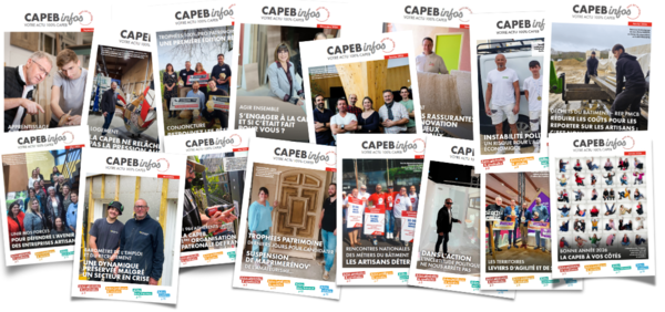 303_header_CAPEBinfos_