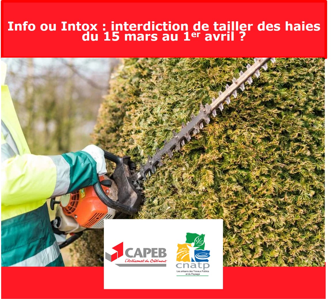 Restriction Taille Des Haies: Taille Des Haies Réglementation 2025 – NMOA